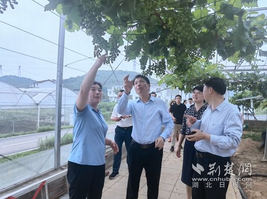 微信圖片_20220601112800.jpg.jpg