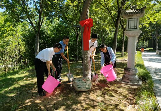 葉家樂一家給櫸樹松土、澆水_副本.jpg